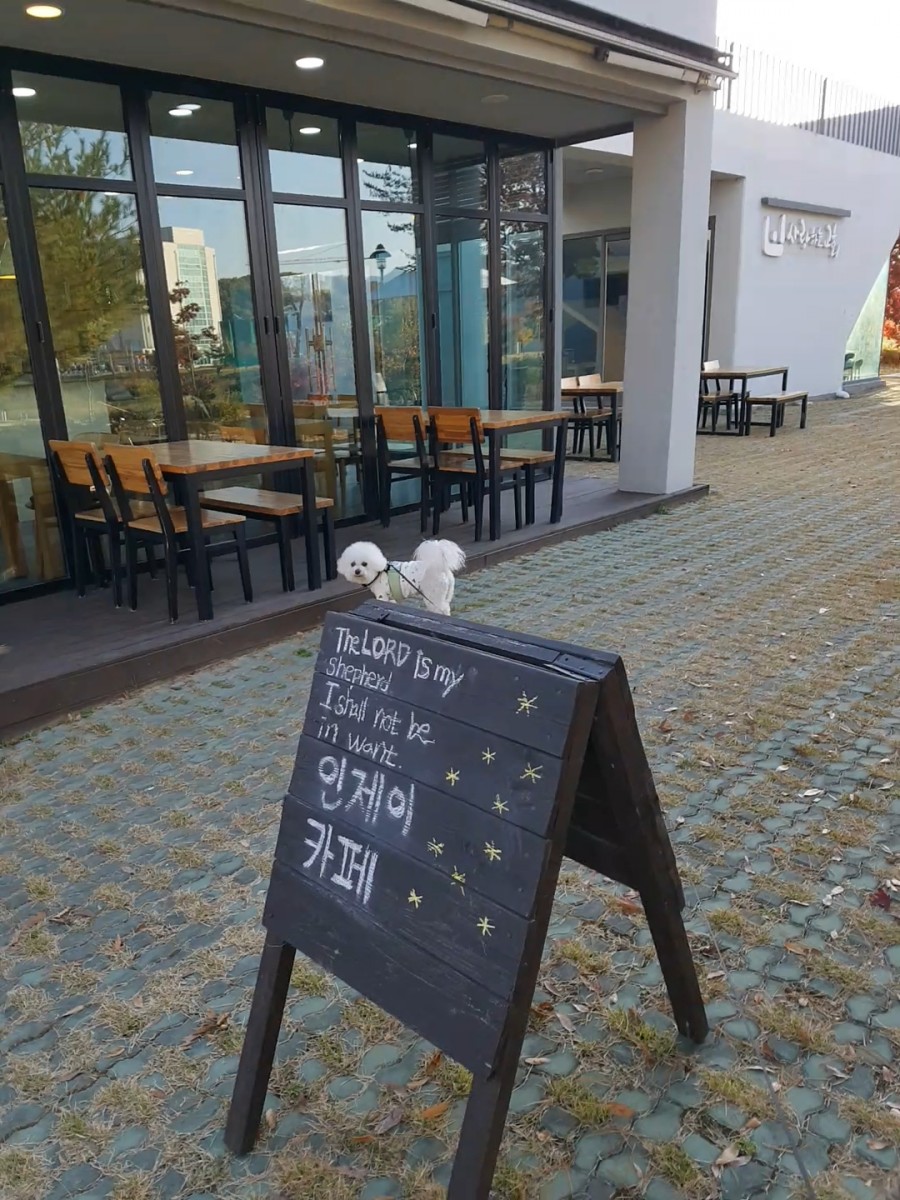 인제이카페 이미지