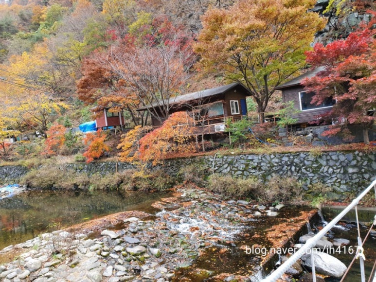 보령토굴젓갈 이미지