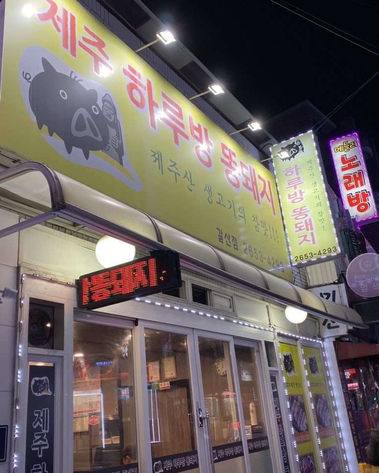 하루방똥돼지 이미지