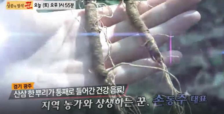 법인마타리 이미지
