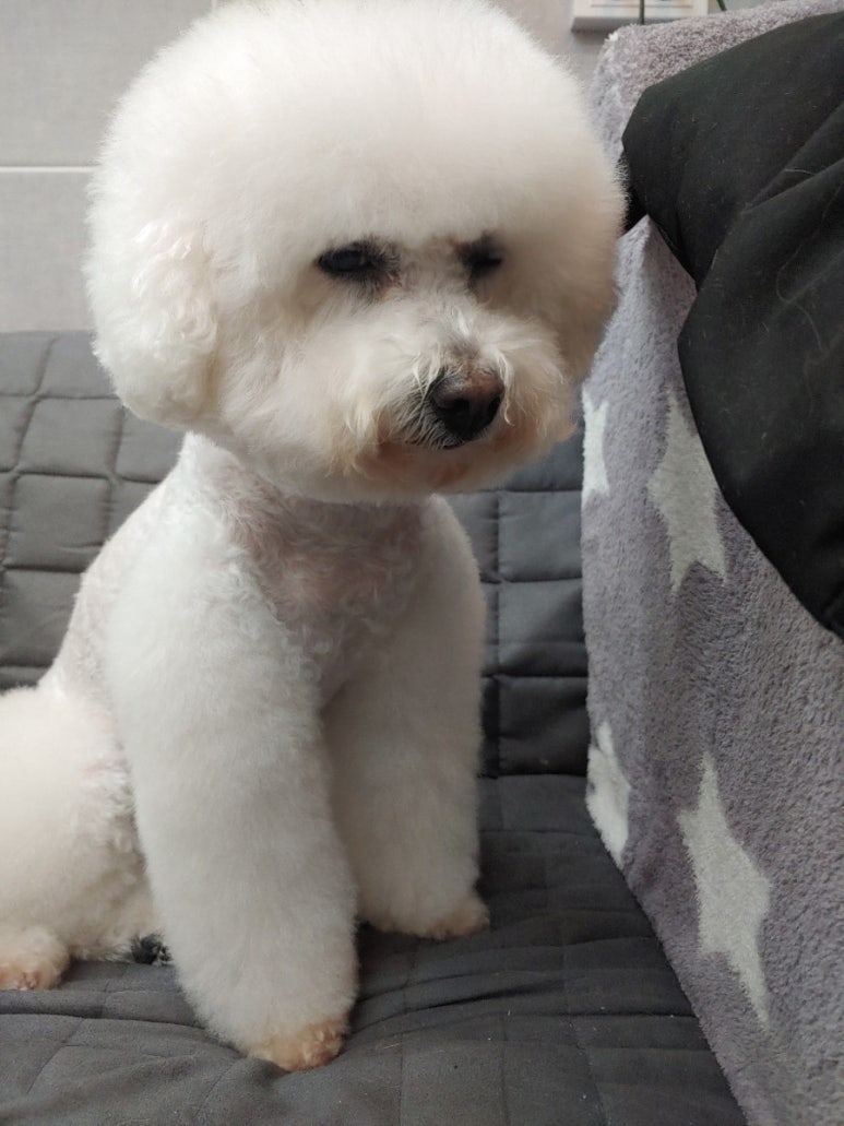 미니마리수원 이미지