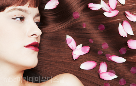 다헤어 이미지