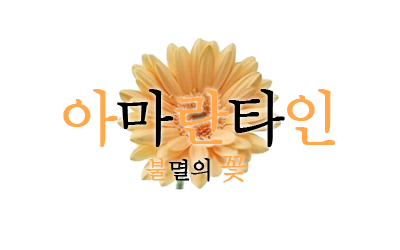 아마란타인 이미지