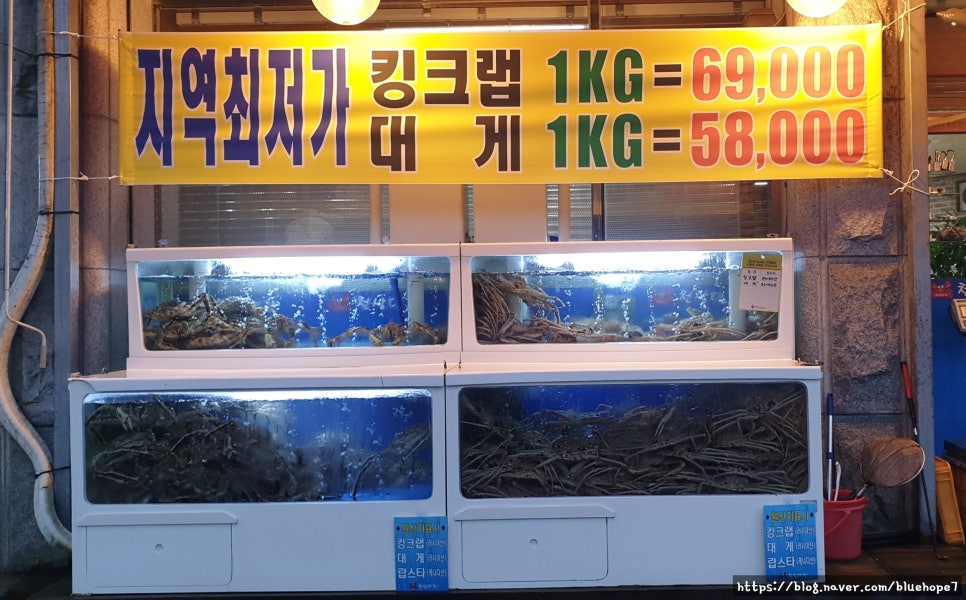 천상대게용인 이미지