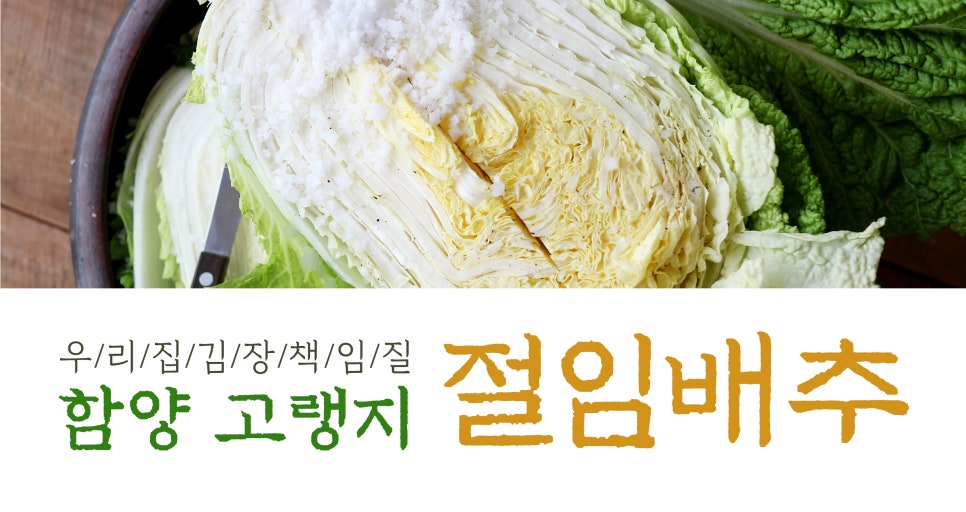 별빛담은마을 이미지