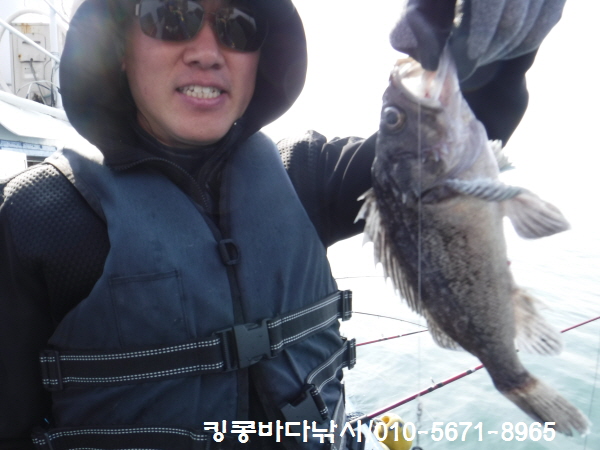 킹콩호 이미지