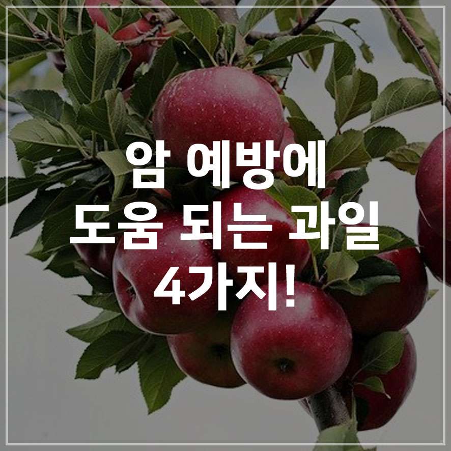 씨에이치케미칼 이미지