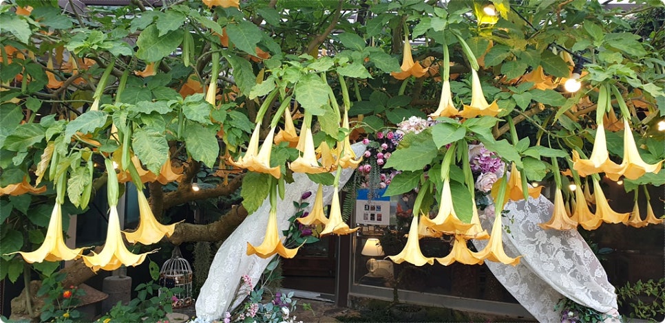 관광버스여행 이미지