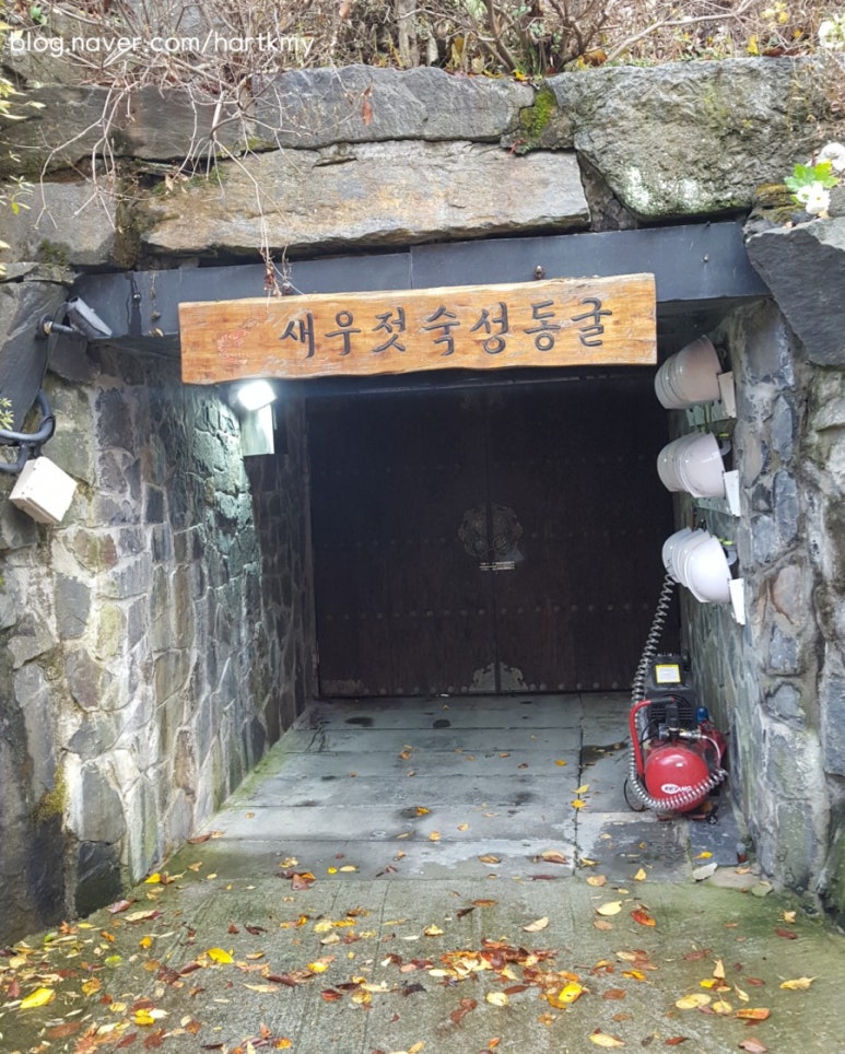 보령토굴젓갈 이미지