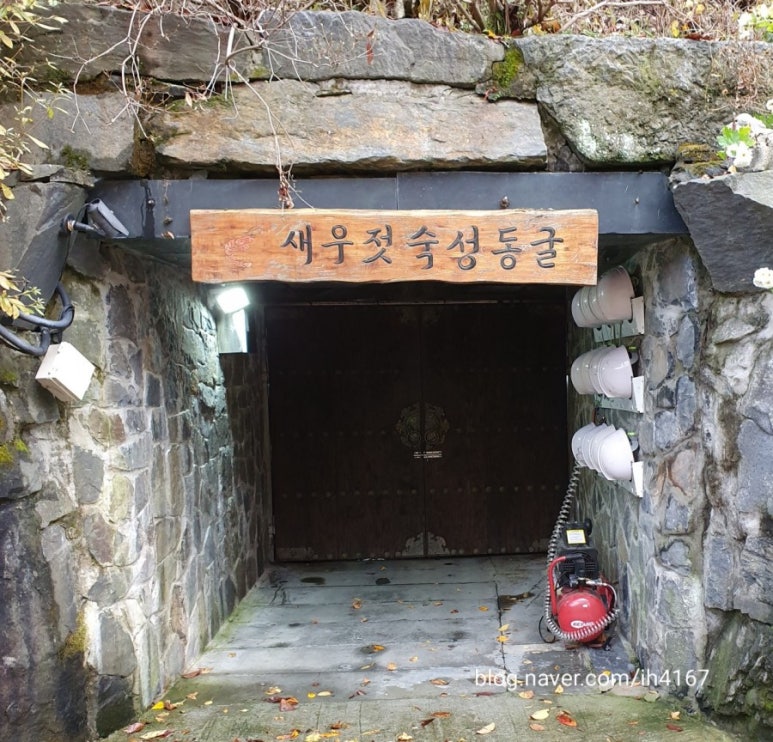 보령토굴젓갈 이미지