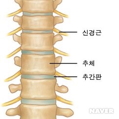 바른지성한방병원 이미지