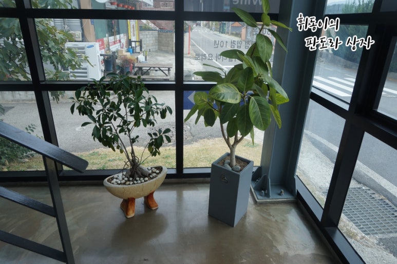 고메303 이미지