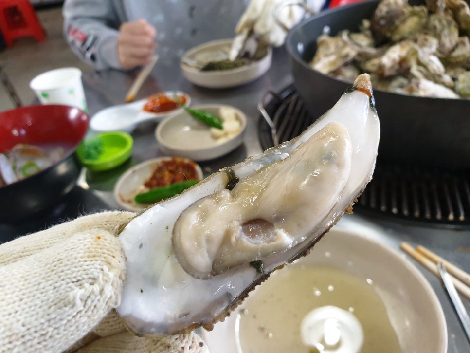 경운네 이미지