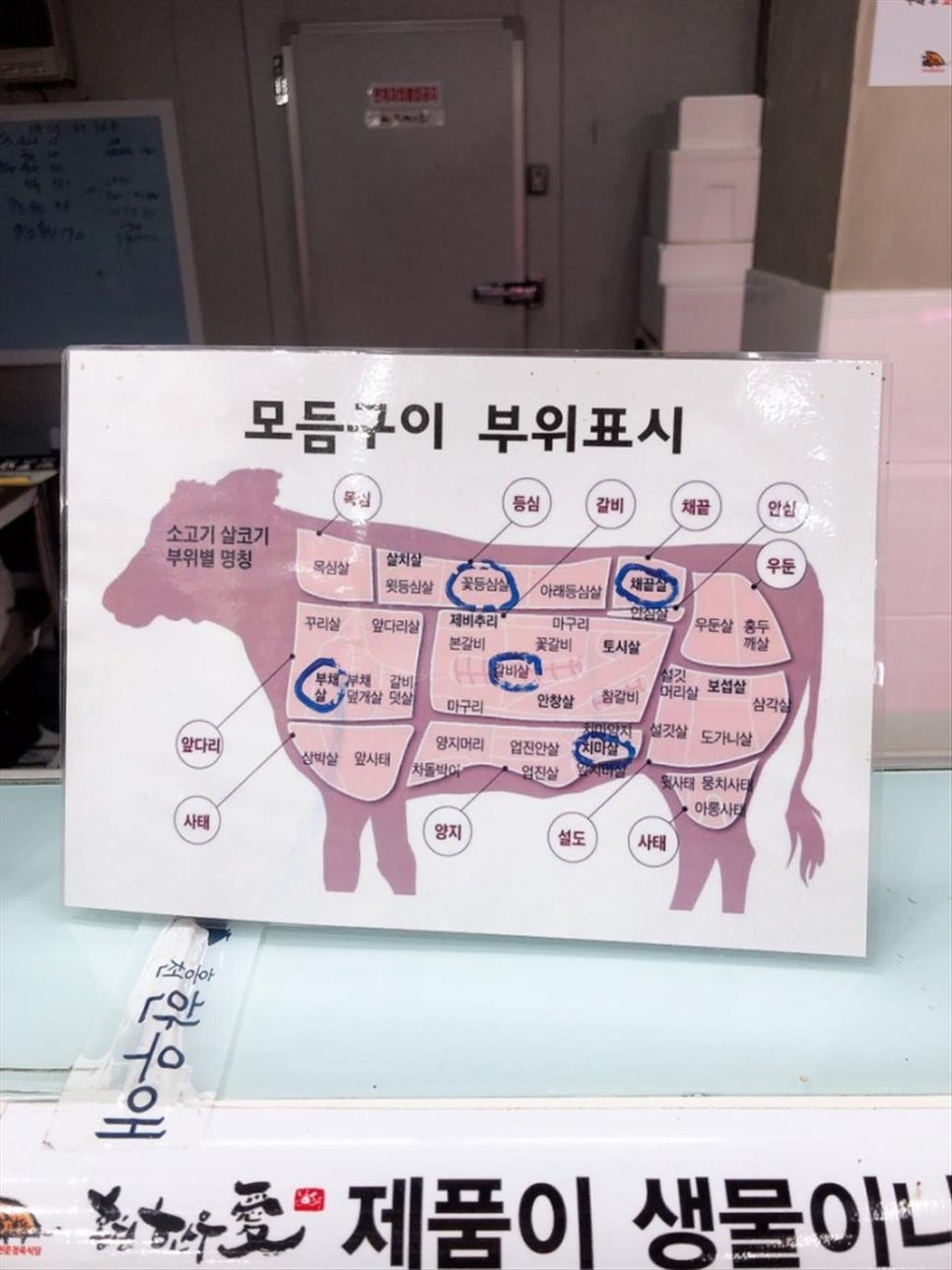 한우애 이미지