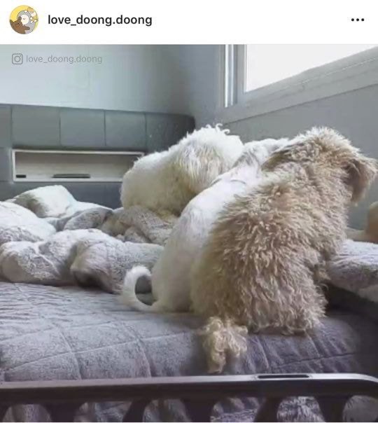 없음 이미지