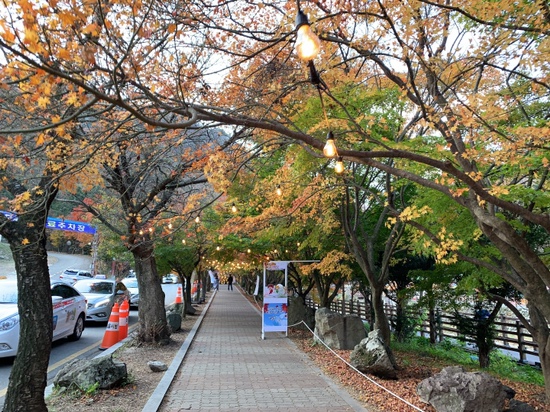 떴다김밥천국 이미지
