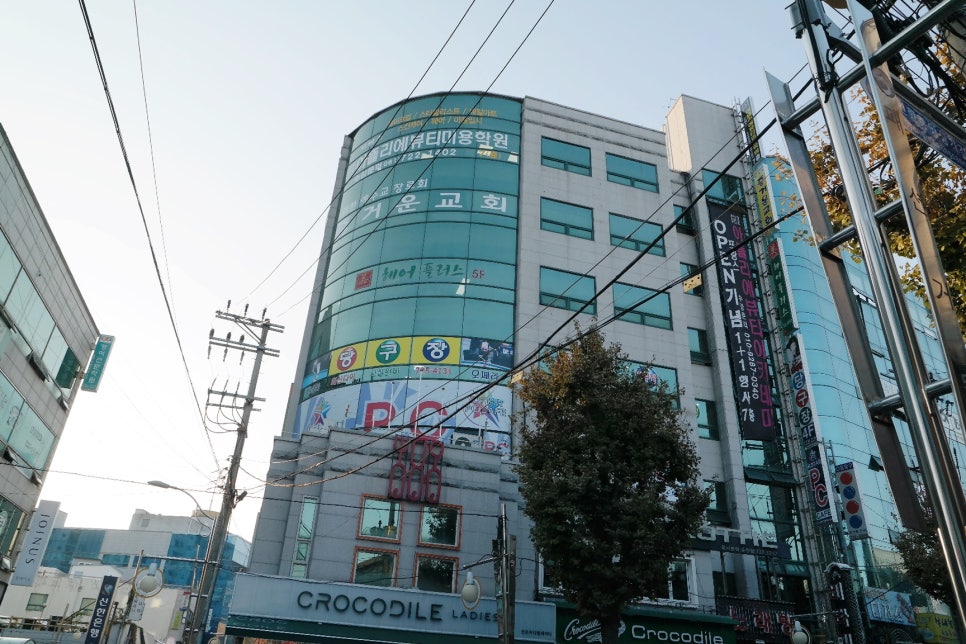 크로커다일레이디순천 이미지