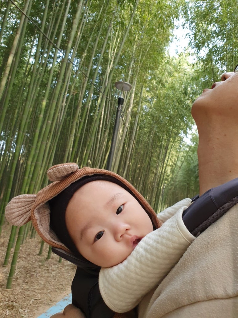 섬진강빵집 이미지