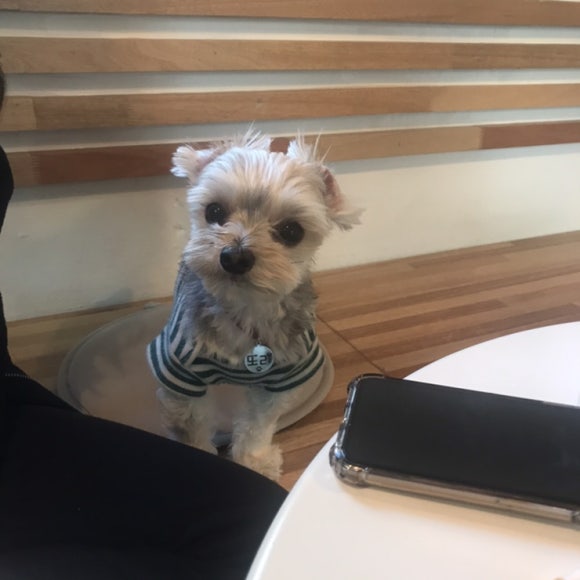 또리커피대전 이미지