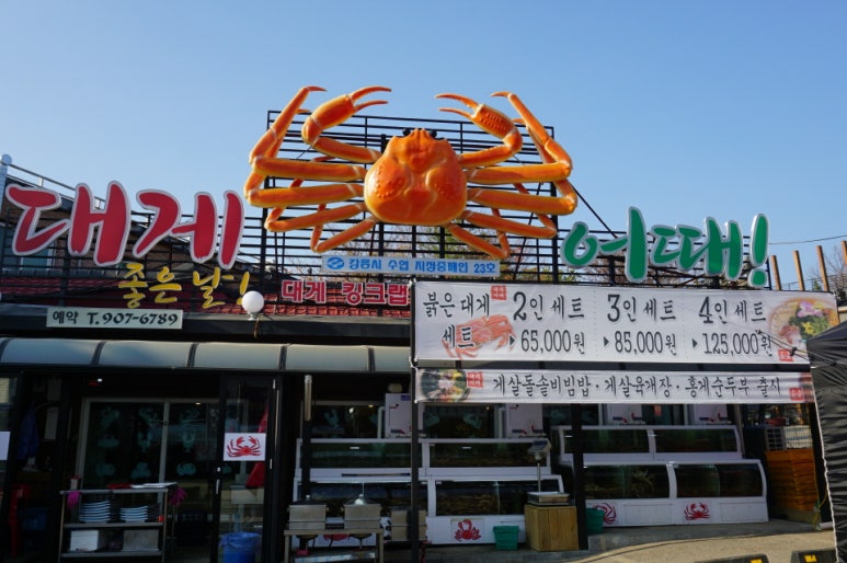 대게어때 이미지