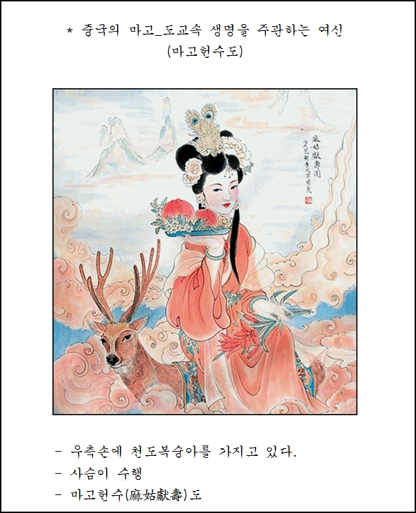마고단 이미지