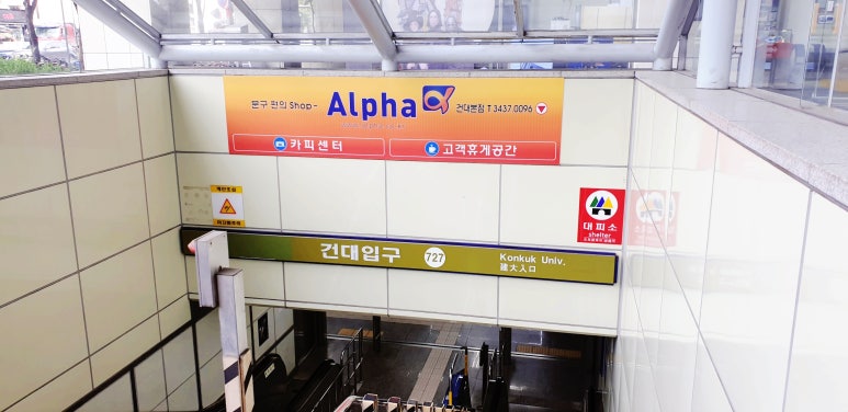 알파카피센터 이미지