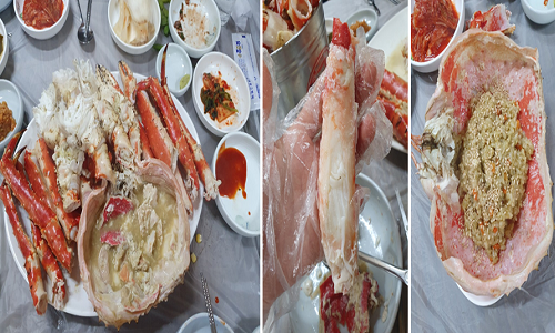 오라회센타 이미지