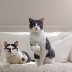런드리익스프레스 이미지