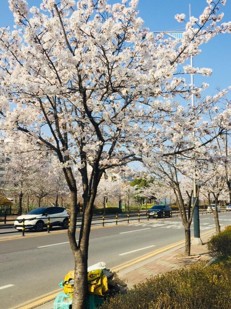 경제더하기연구소 이미지