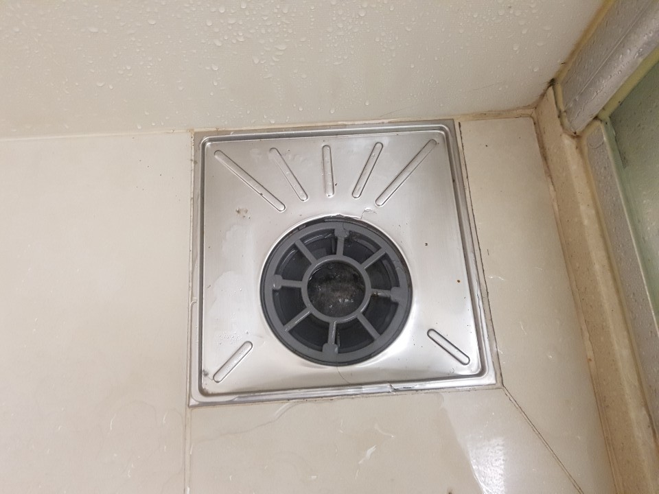 영크린 이미지