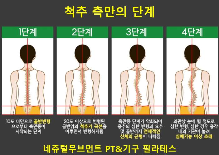 네추럴무브먼트 이미지