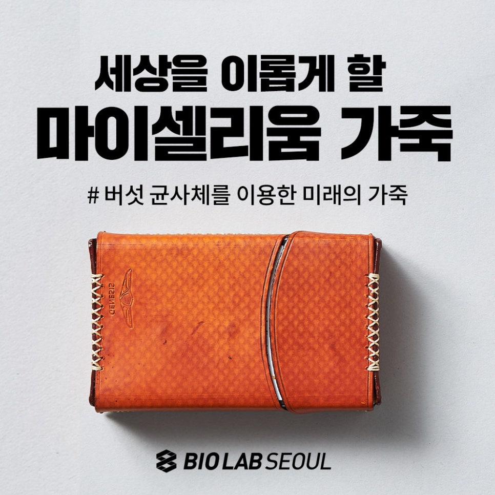 셀리움 이미지