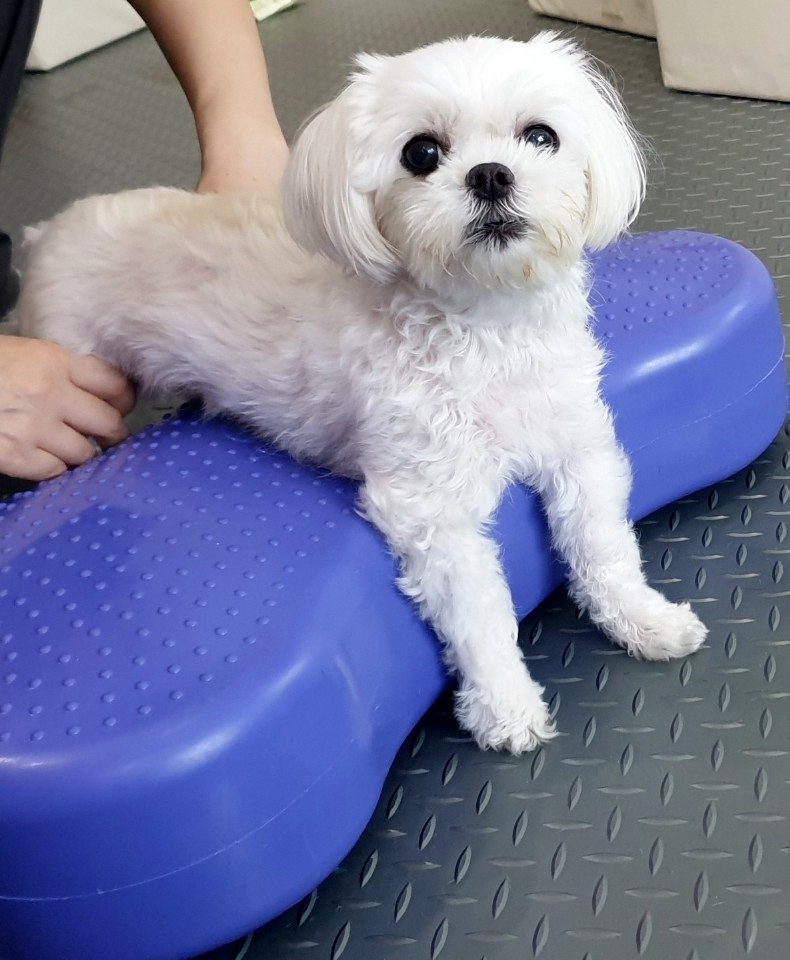 두암한방병원 이미지