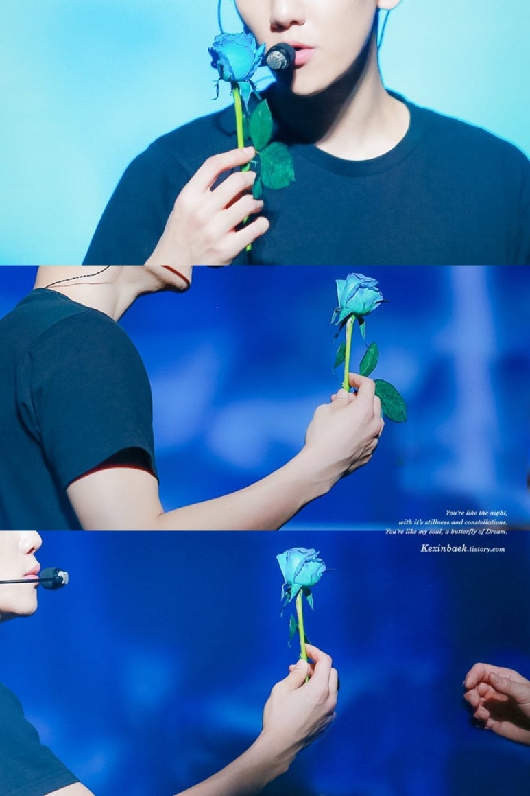머리세상 이미지