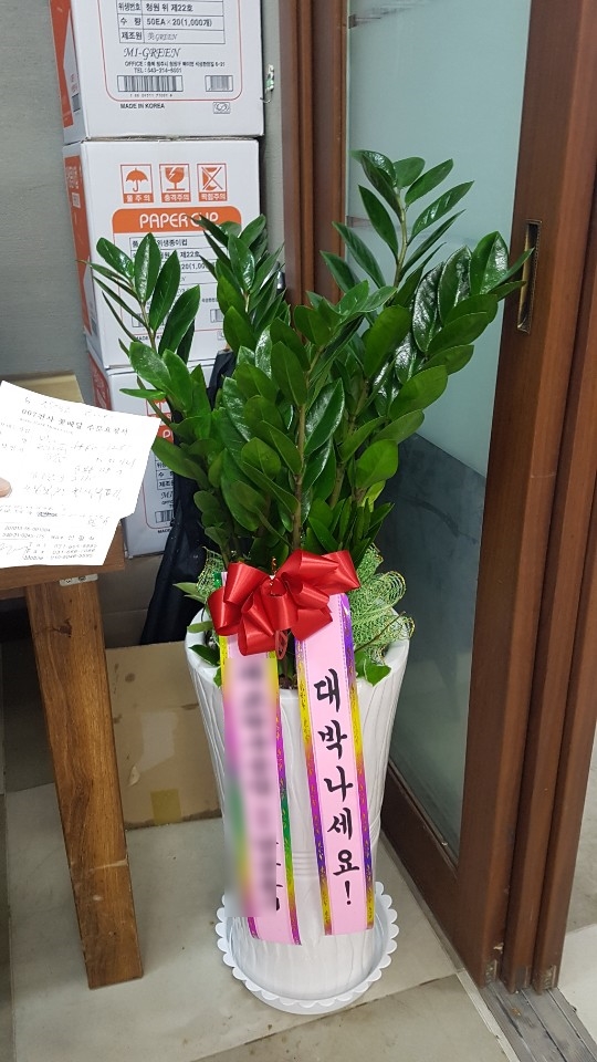 ００７천사꽃배달 이미지
