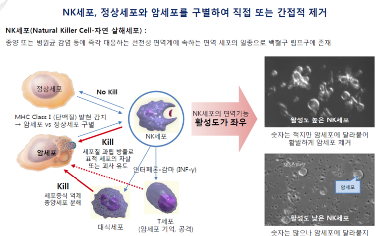 폼짐 이미지