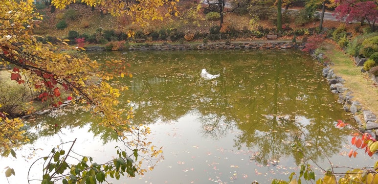 한국힐링산업연구원 이미지