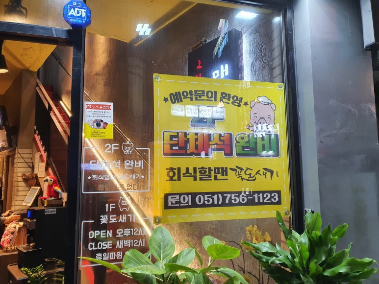 조이박꽃도새기 이미지