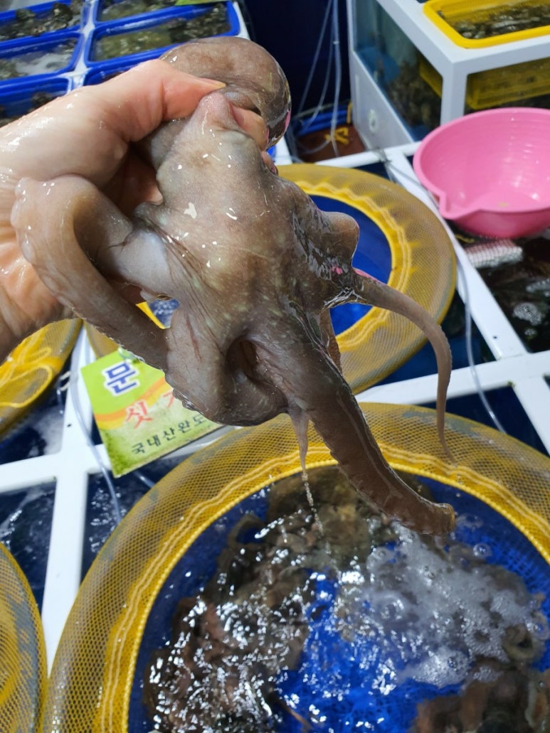 낚지통발 이미지