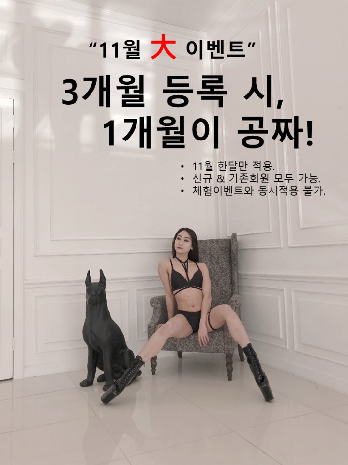 스완폴댄스 이미지