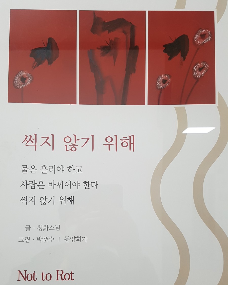 영동미용실 이미지