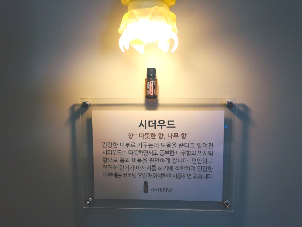 힐링보보하우스 이미지