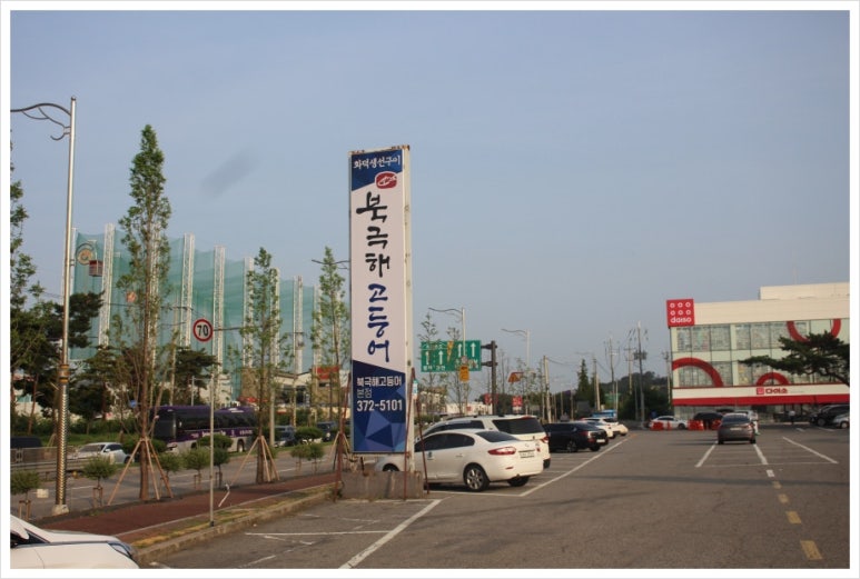 북극해고등어 이미지