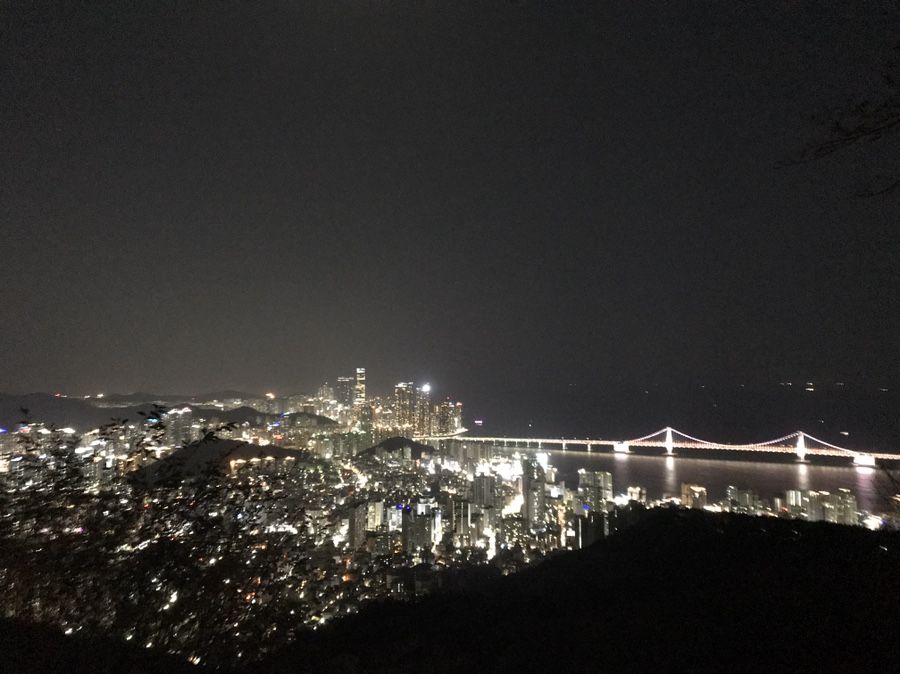 영쿡식당 이미지