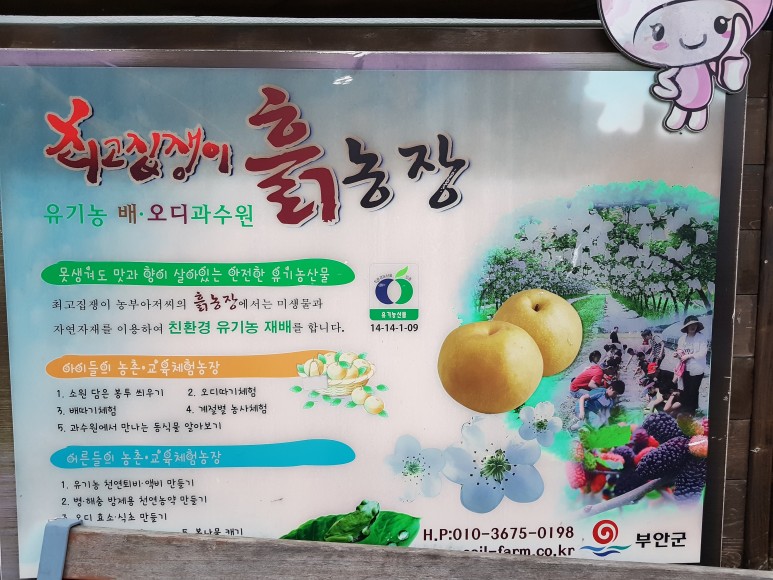 흙농장 이미지