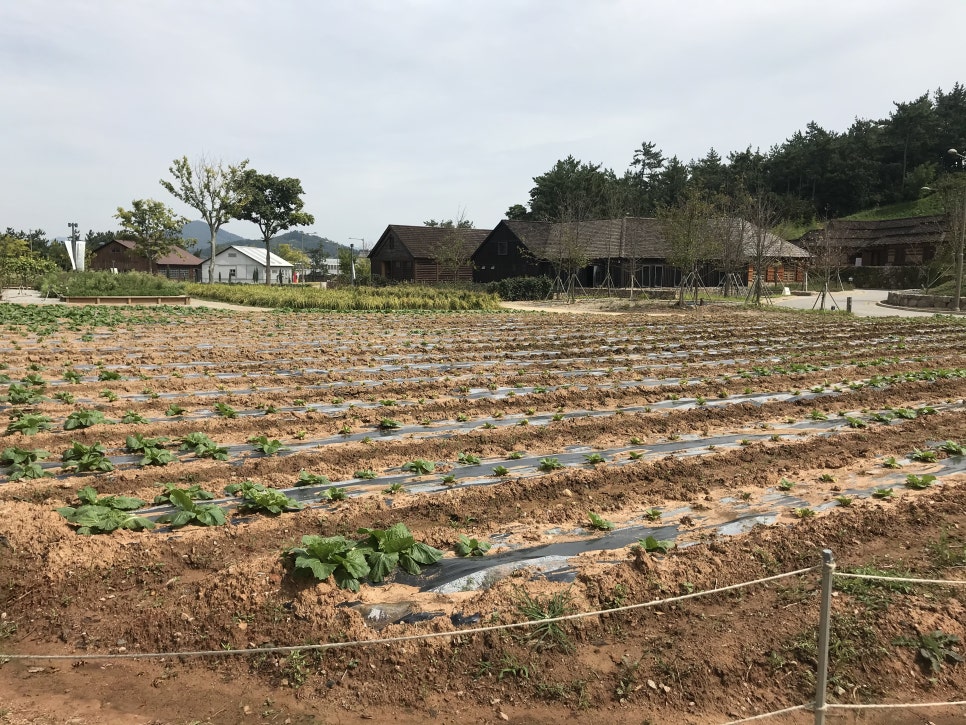 고창커뮤니케이션 이미지