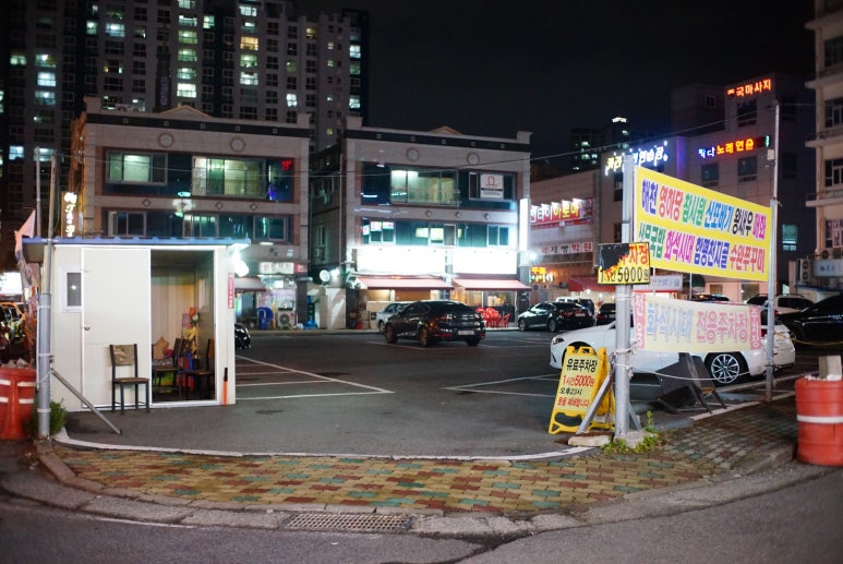 화석시대흑석점 이미지