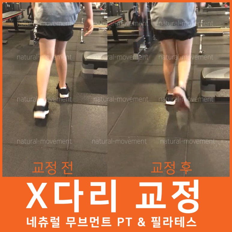 네추럴무브먼트 이미지