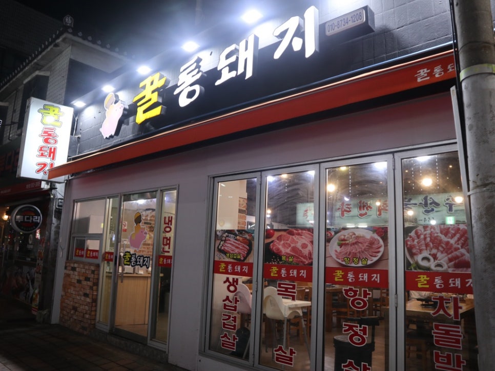 꿀통돼지 이미지