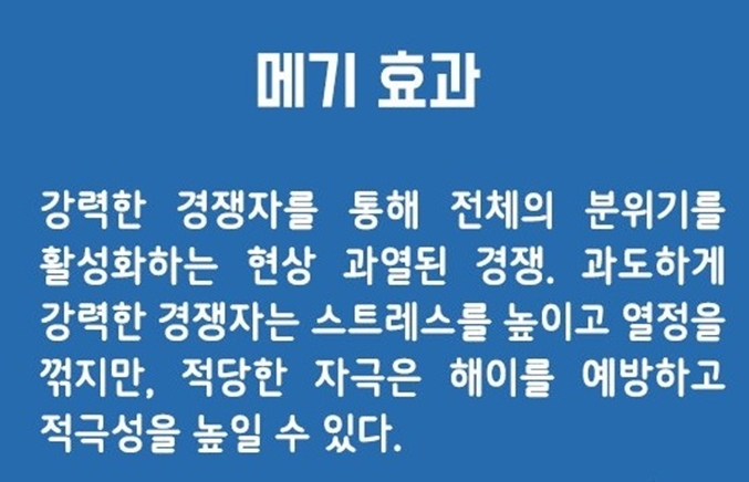 티엔티컨설팅 이미지